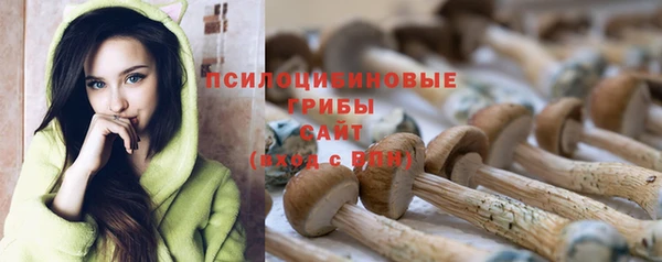 тгк Касимов