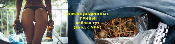 spice Карталы