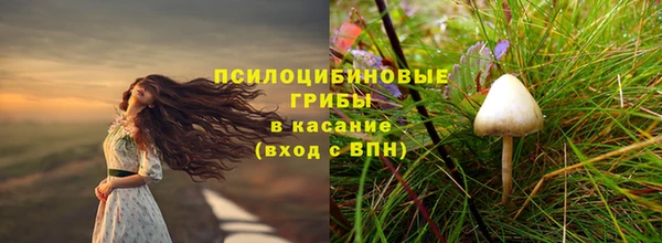 spice Карталы