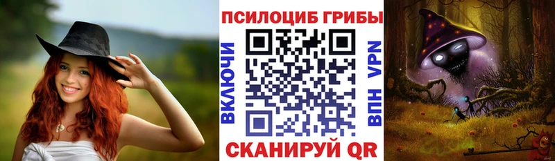 Купить  Цивильск  Галлюциногенные грибы Psilocybine cubensis 